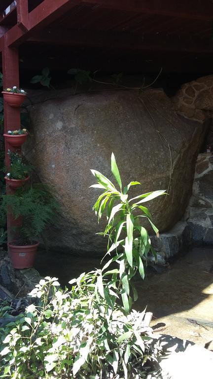 Pousada Mae Natureza Ilha Grande ภายนอก รูปภาพ